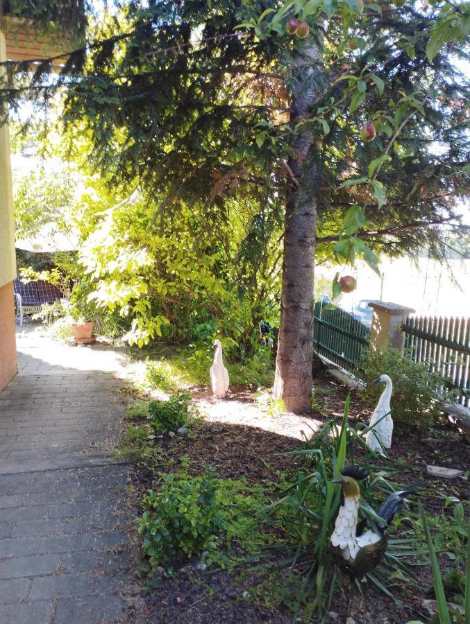 B&B Family Basement Apartment, Breakfast, Free Parking, 5Km From Tulln Chorherrn Luaran gambar