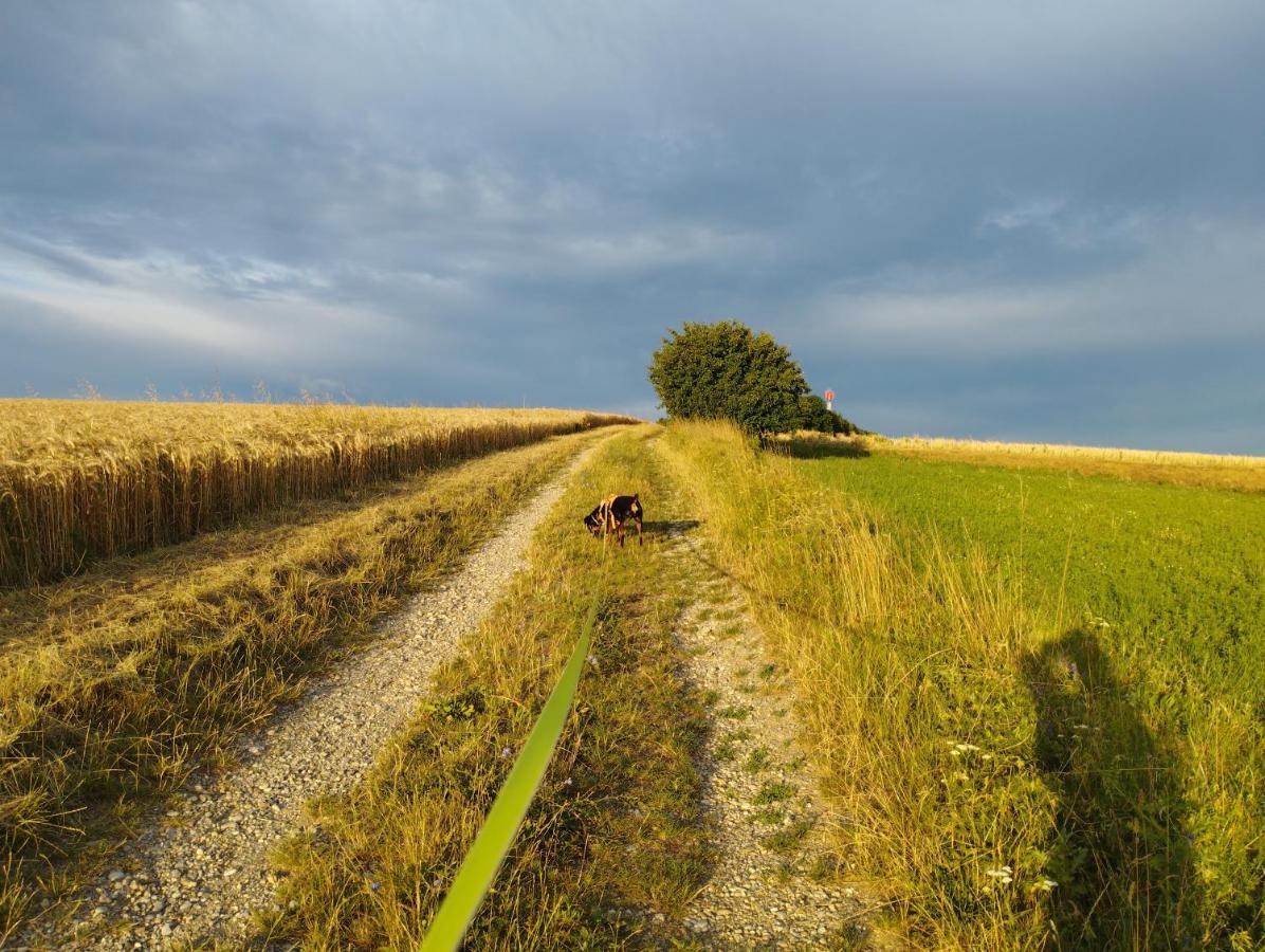 B&B Family Basement Apartment, Breakfast, Free Parking, 5Km From Tulln Chorherrn Luaran gambar